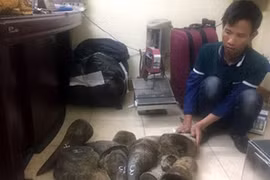 Vén màn bí mật của chủ trang trại hổ vồ người