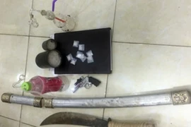 Triệt phá ổ nhóm tàng trữ ma túy, vũ khí nóng ở Hải Phòng