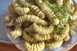 Lạ kỳ sở thích ăn sâu bọ sống, bò lúc nhúc nhìn đã ghê