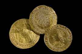 Thợ săn kim loại bất ngờ tìm thấy hộp báu vật thời Trung cổ