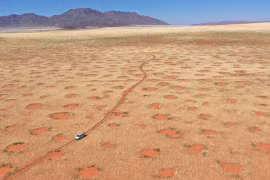 Lời giải nào cho những “vòng tròn thần tiên” ở sa mạc Namibia?