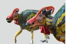 Giật mình phát hiện loài khủng long biết “nói chuyện” 72 triệu năm trước