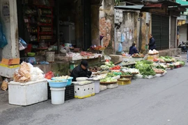 Hà Nội: Tiểu thương mở hàng sớm, chợ đầu năm đủ món ngon, chỉ... vắng khách mua