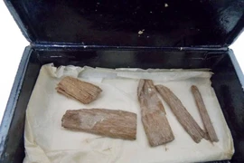 Cổ vật mang nhiều bí ẩn tìm thấy ở Đại kim tự tháp Giza 