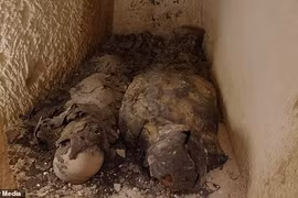 Bí mật xác ướp cặp đôi Ai Cập cổ đại được phủ vàng lá