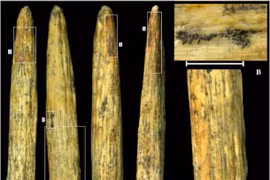 Sự thật kinh ngạc về mũi giáo bằng xương cổ nhất ở châu Âu