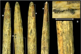 Sự thật kinh ngạc về mũi giáo bằng xương cổ nhất ở châu Âu