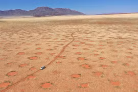 Bí ẩn “vòng tròn thần tiên” xuất hiện ở 15 nước 