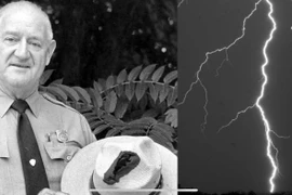 Những kỷ lục Guinness 'độc, lạ' nhất hành tinh