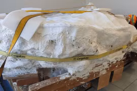 Giật mình khối đá nặng 9 tấn, bên trong lúc nhúc toàn “quái vật“