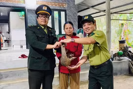 Những động vật đi lạc ở Việt Nam... toàn loài quý hơn vàng ròng