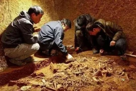 Lộ bí mật kinh hoàng trong 80 hài cốt “ngoại lai” 