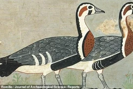 Bức tranh 4.600 tuổi được mệnh danh “Mona Lisa của Ai Cập“