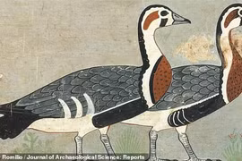 Bức tranh 4.600 tuổi được mệnh danh “Mona Lisa của Ai Cập“