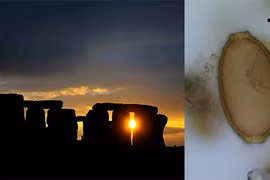 Sự thật kinh ngạc về những người xây bãi đá cổ Stonehenge 