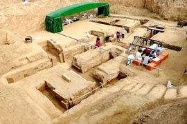 Quật mộ 2.000 tuổi, hoảng hồn thấy sinh vật sống lổm ngổm bò ra 