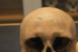 Phát hiện bất ngờ về người Viking ở Na Uy