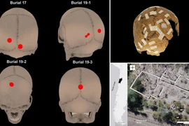 Bí mật khủng khiếp của đế chế Inca hé lộ qua những hộp sọ 