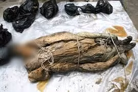 Mở mộ cổ 700 tuổi, sững người thấy chất lỏng màu nâu quanh xác ướp 