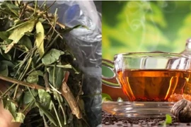 5 loại nước uống giảm cân thần tốc, đến Tết giảm chục cân là thường! 