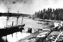 Vì một con lợn, Mỹ - Anh suýt xảy ra cuộc chiến tranh