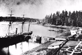 Vì một con lợn, Mỹ - Anh suýt xảy ra cuộc chiến tranh