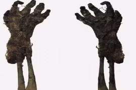 Bí ẩn xác ướp một tay cầm đồ đồng xu