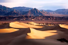 Giật mình nơi nóng nhất Trái Đất, nhiều loài vẫn sống bền bỉ