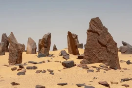 Vì sao giữa sa mạc Ai Cập xuất hiện vòng tròn đá bí ẩn? 