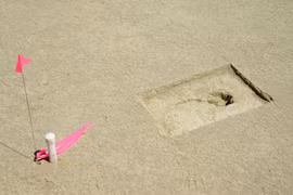 Hễ trời đổ mưa, sa mạc hiện đầy những dấu chân "ma quái" 