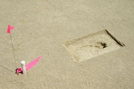 Hễ trời đổ mưa, sa mạc hiện đầy những dấu chân "ma quái" 