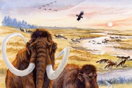 Vì sao voi ma mút biến mất hoàn toàn trên Trái đất?