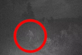 Xem ảnh cũ, bất ngờ thấy quái vật Bigfoot “hiện nguyên hình” 