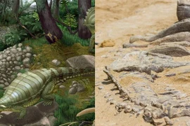 Lộ diện quái thú đầu đại bàng, mình cá sấu 218 triệu tuổi 