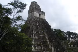 Hoá ra nền văn minh Maya sụp đổ vì lý do này