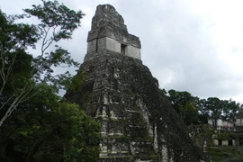 Hoá ra nền văn minh Maya sụp đổ vì lý do này