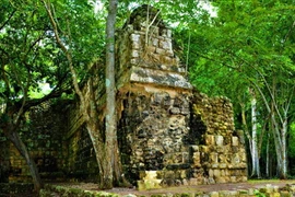 Tiết lộ sốc về hài cốt bí ẩn trong cung điện người Maya
