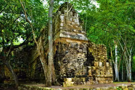 Tiết lộ sốc về hài cốt bí ẩn trong cung điện người Maya