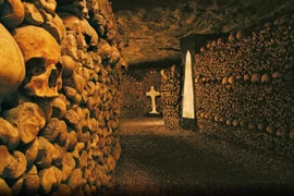 Sự thực hoàng đế Napoleon giúp hầm mộ Paris nổi tiếng?