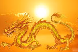 Tử vi hôm nay nói gì về tuổi Thìn, tuổi Hợi, tuổi Tý? 