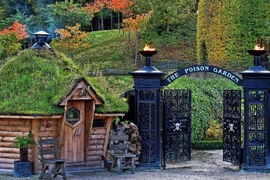 Kinh hoàng khu vườn Độc dược dễ cướp mạng người 