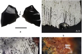 Bí ẩn công cụ xăm mình của người cổ đại