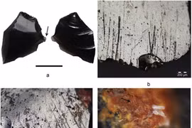 Bí ẩn công cụ xăm mình của người cổ đại