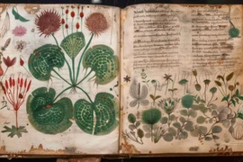 Top 3 mật mã bí ẩn khó giải nhất lịch sử