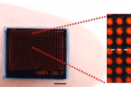 Chụp ảnh siêu nét với camera mô phỏng mắt kép của côn trùng 