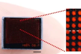 Chụp ảnh siêu nét với camera mô phỏng mắt kép của côn trùng 