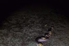 Những bức ảnh có thật khiến người xem rùng mình