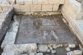 Sự thật gây sốc trong bức tranh khảm tuyệt đẹp 2.300 tuổi