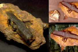Những p​hát hiện khảo cổ bí ẩn, kỳ lạ nhất gây xoắn não chuyên gia