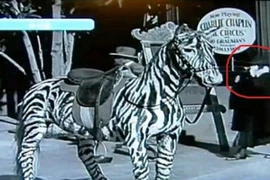 10 bức hình quái quỷ nhất hành tinh, lần nào xem cũng ám ảnh 